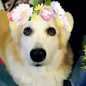 Meet your Posher, Bev